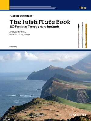 cover image of The Irish Flute Book